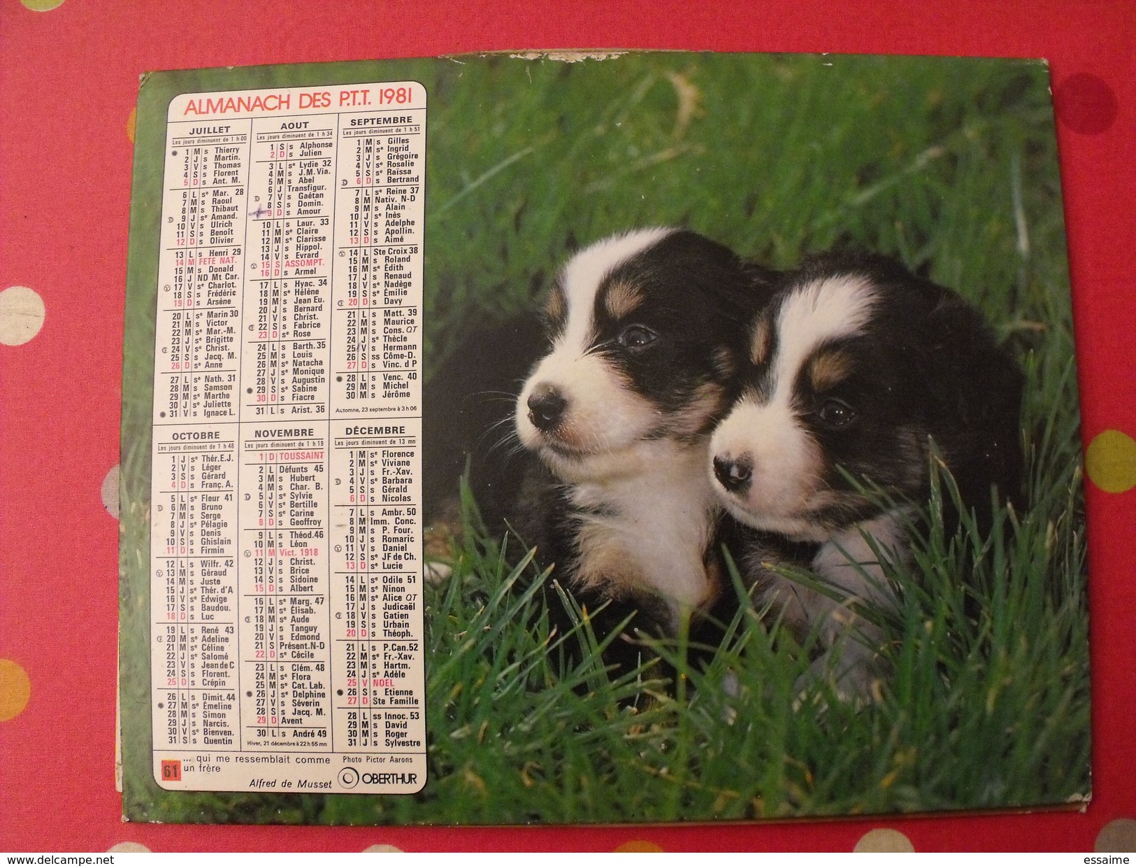 Calendrier Illustré En Carton De 1981. Almanach Des PTT Postes Facteur. Chien - Grand Format : 1981-90