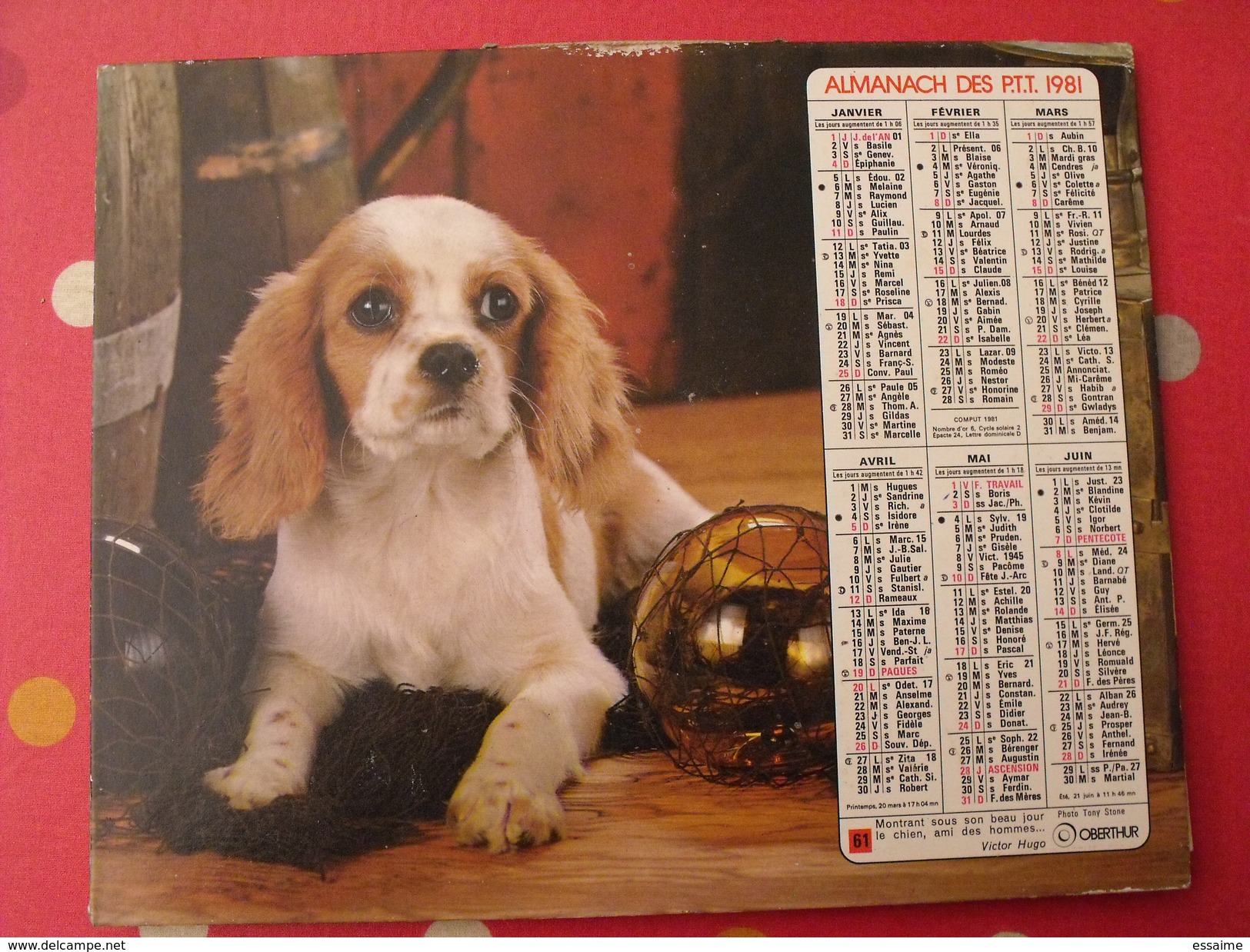 Calendrier Illustré En Carton De 1981. Almanach Des PTT Postes Facteur. Chien - Grand Format : 1981-90