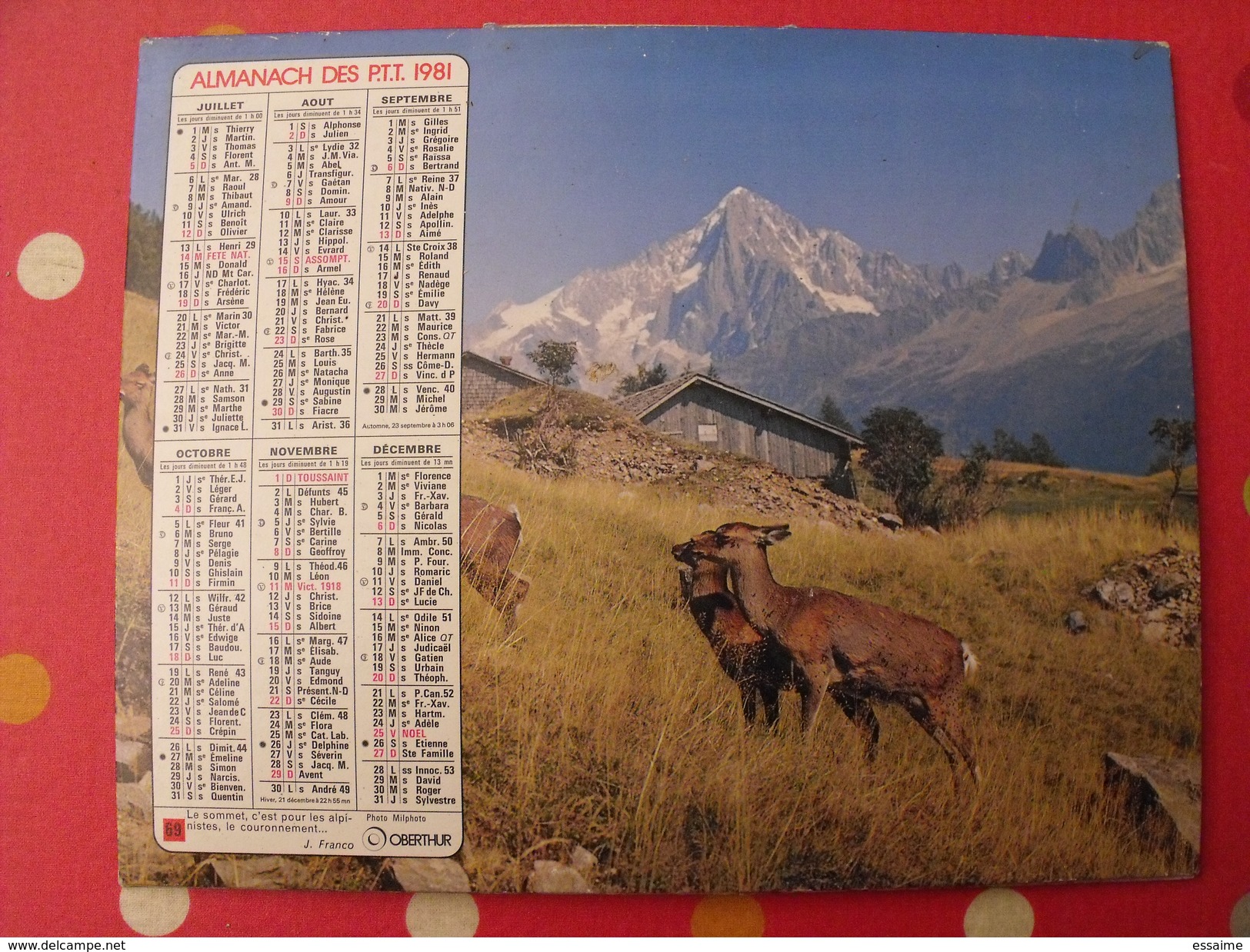 Calendrier Illustré En Carton De 1981. Almanach Des PTT Postes Facteur. Montagne Biche - Big : 1981-90