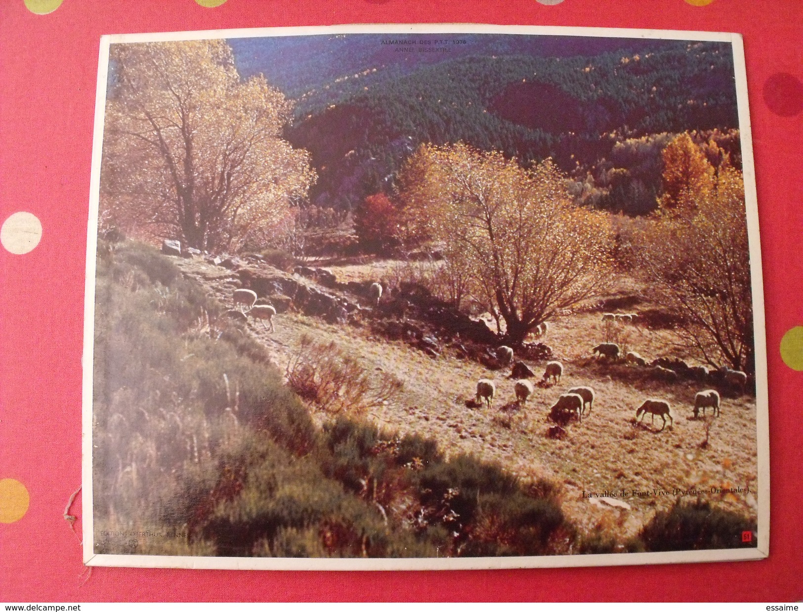 Calendrier Illustré En Carton De 1976. Almanach Des PTT Postes Facteur. Carcassonne  Moutons - Groot Formaat: 1971-80