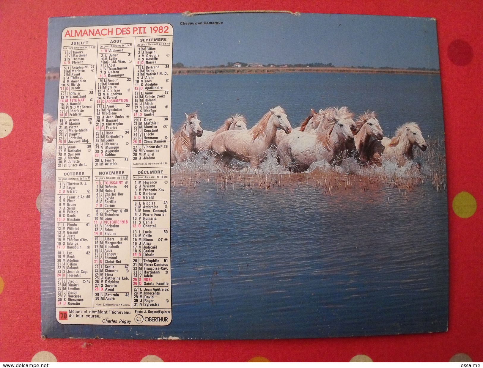 Calendrier Illustré En Carton De 1982. Almanach Des PTT Postes Facteur. Chevaux Camargue Méditerranée Cannes - Grand Format : 1981-90