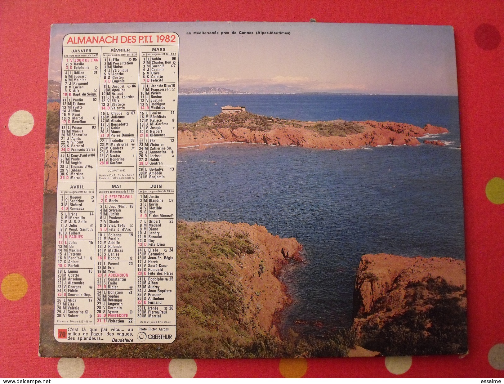 Calendrier Illustré En Carton De 1982. Almanach Des PTT Postes Facteur. Chevaux Camargue Méditerranée Cannes - Grossformat : 1981-90