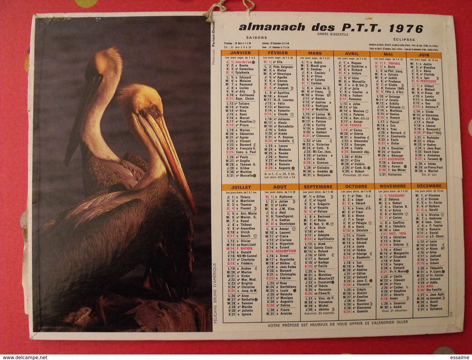 Calendrier Illustré En Carton De 1976. Almanach Des PTT Postes Facteur. Pélican - Tamaño Grande : 1971-80