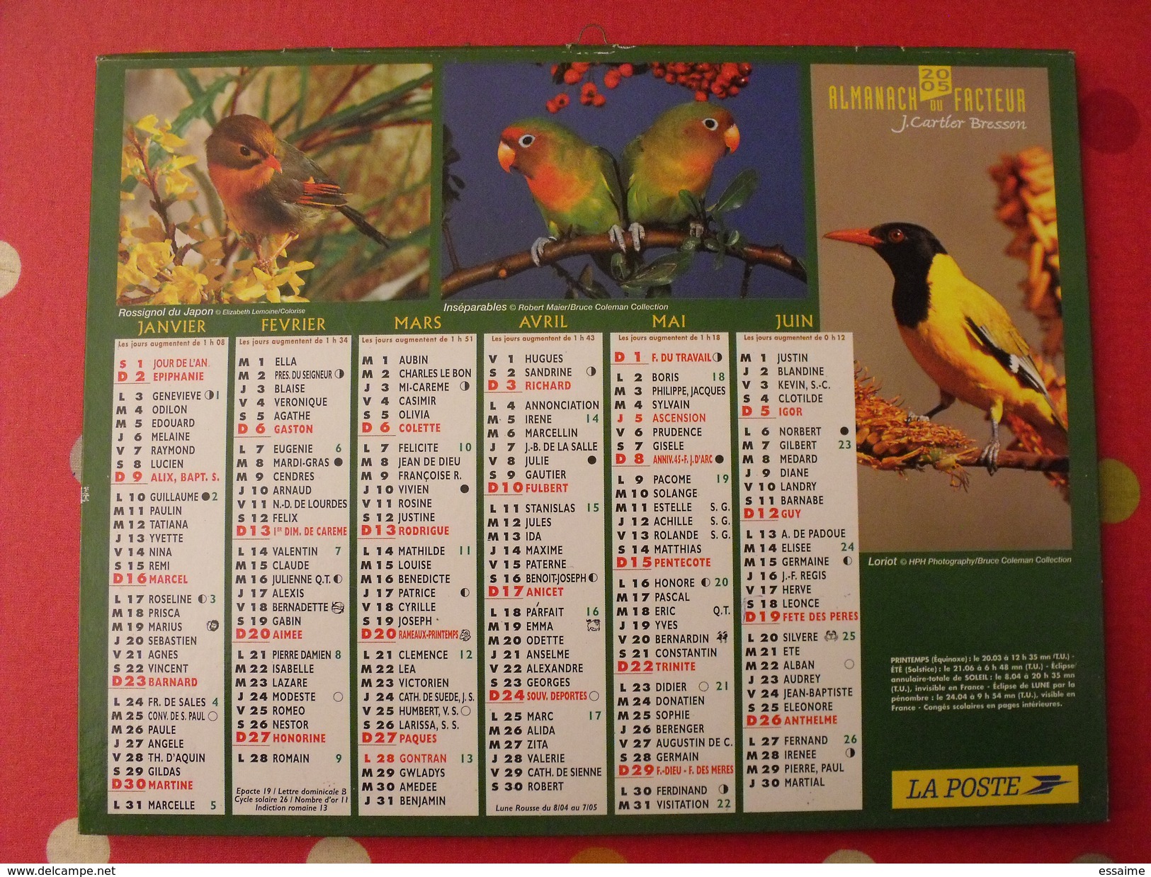 Calendrier Illustré En Carton De 2005. Almanach Des PTT Postes Facteur. Oiseaux - Grand Format : 2001-...