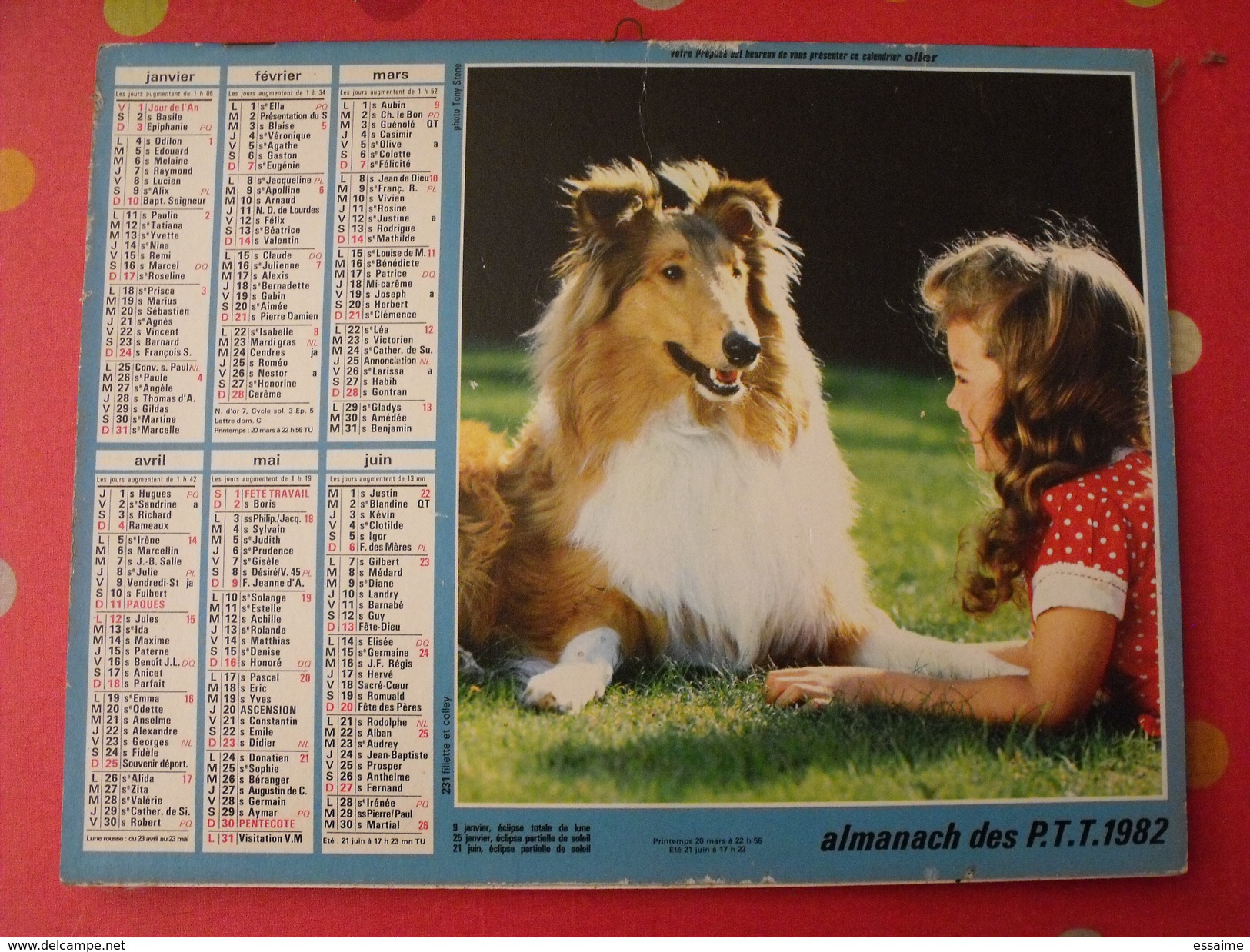 Calendrier Illustré En Carton De 1982. Almanach Des PTT Postes Facteur. Fillette Chien Cheval - Tamaño Grande : 1981-90