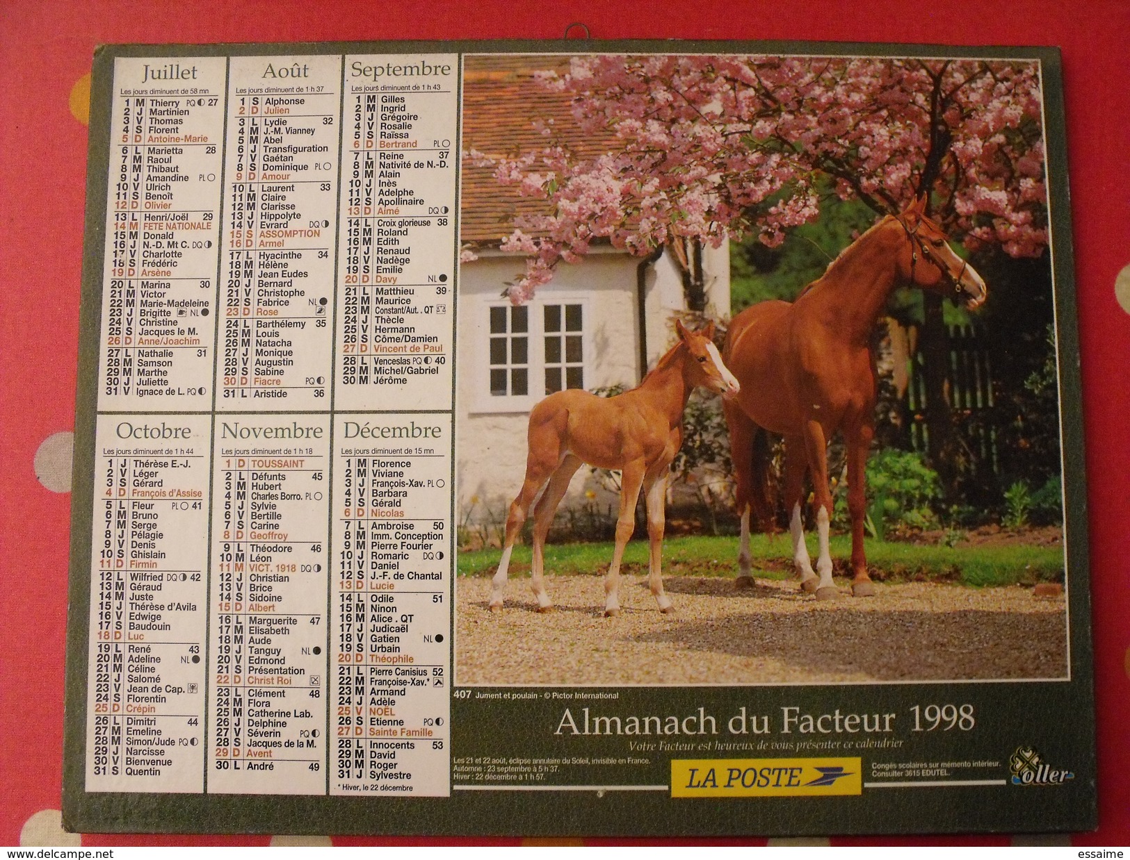 Calendrier Illustré En Carton De 1998. Almanach Des PTT Postes Facteur. Chien Cheval Poulain - Big : 1991-00