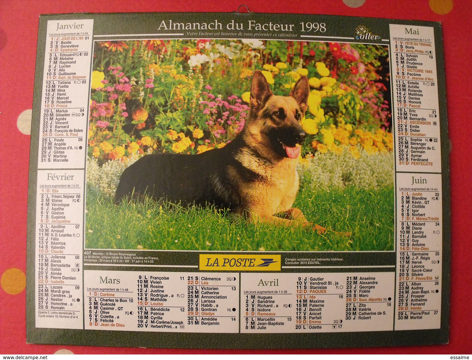 Calendrier Illustré En Carton De 1998. Almanach Des PTT Postes Facteur. Chien Cheval Poulain - Big : 1991-00