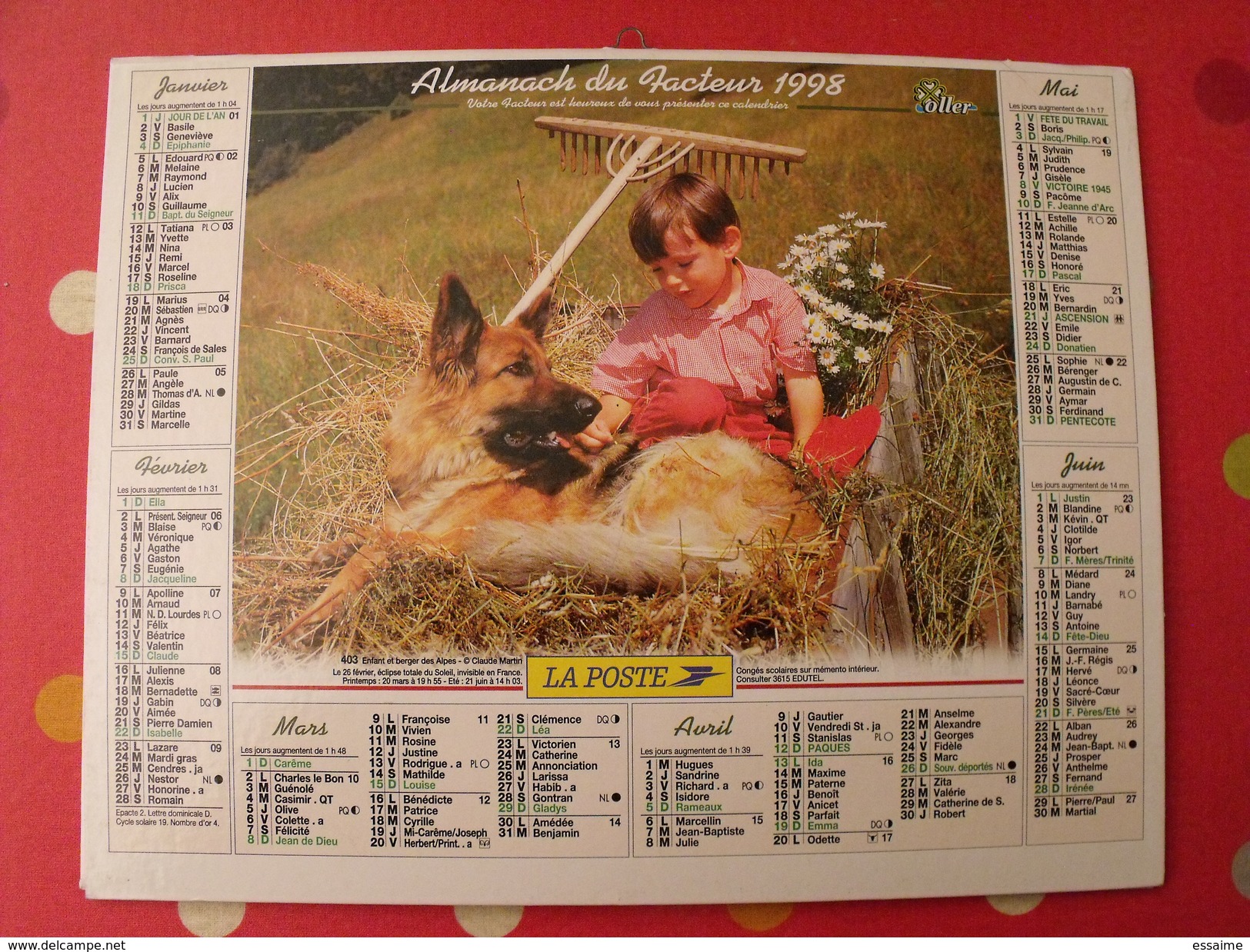 Calendrier Illustré En Carton De 1998. Almanach Des PTT Postes Facteur. Fikllette Chevreau Chien Berger - Big : 1991-00