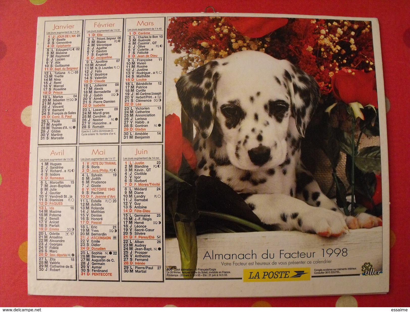 Calendrier Illustré En Carton De 1998. Almanach Des PTT Postes Facteur. Chien Chat - Grand Format : 1991-00