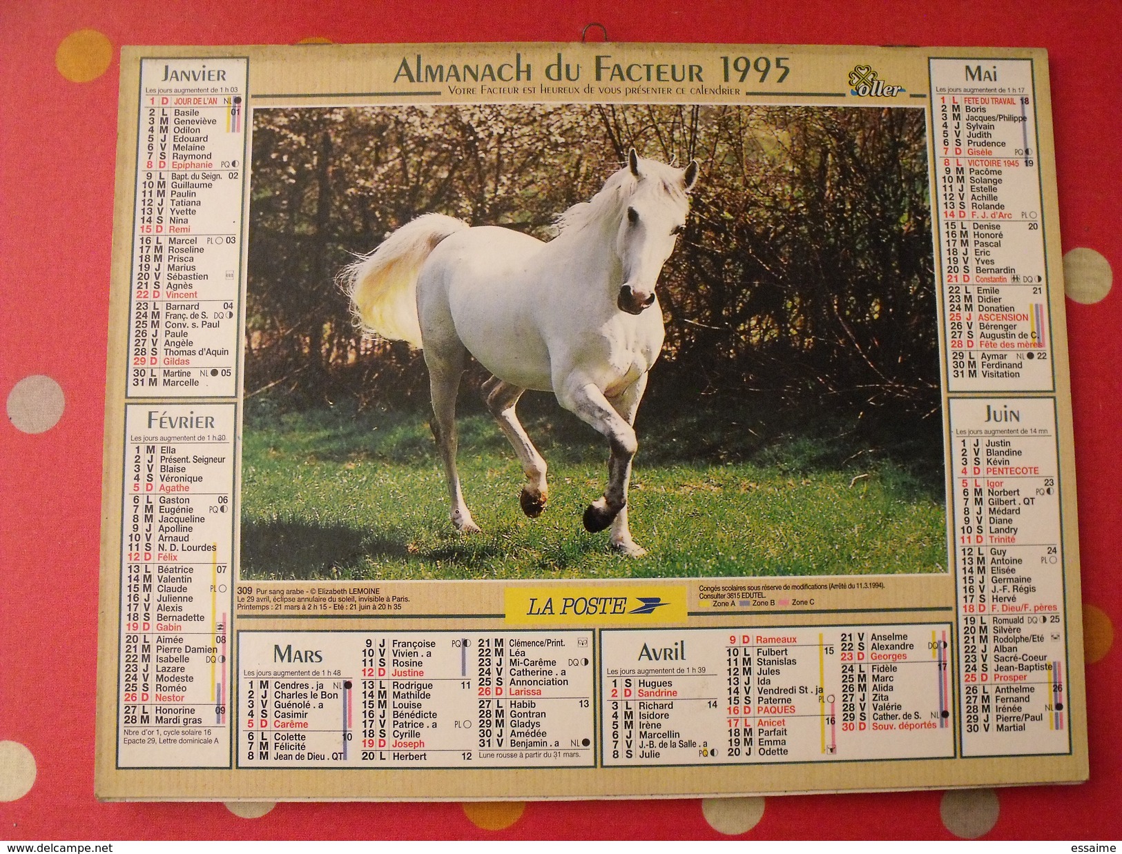 Calendrier Illustré En Carton De 1995. Almanach Des PTT Postes Facteur. Cheval Poulain - Grand Format : 1991-00