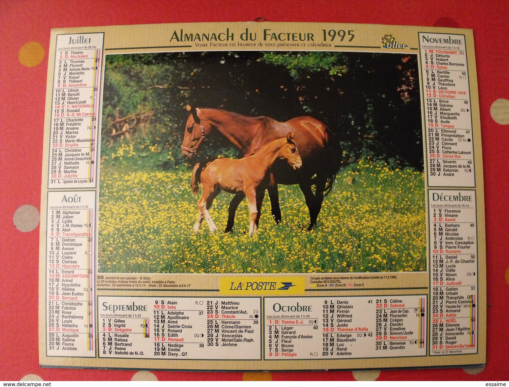 Calendrier Illustré En Carton De 1995. Almanach Des PTT Postes Facteur. Cheval Poulain - Grand Format : 1991-00