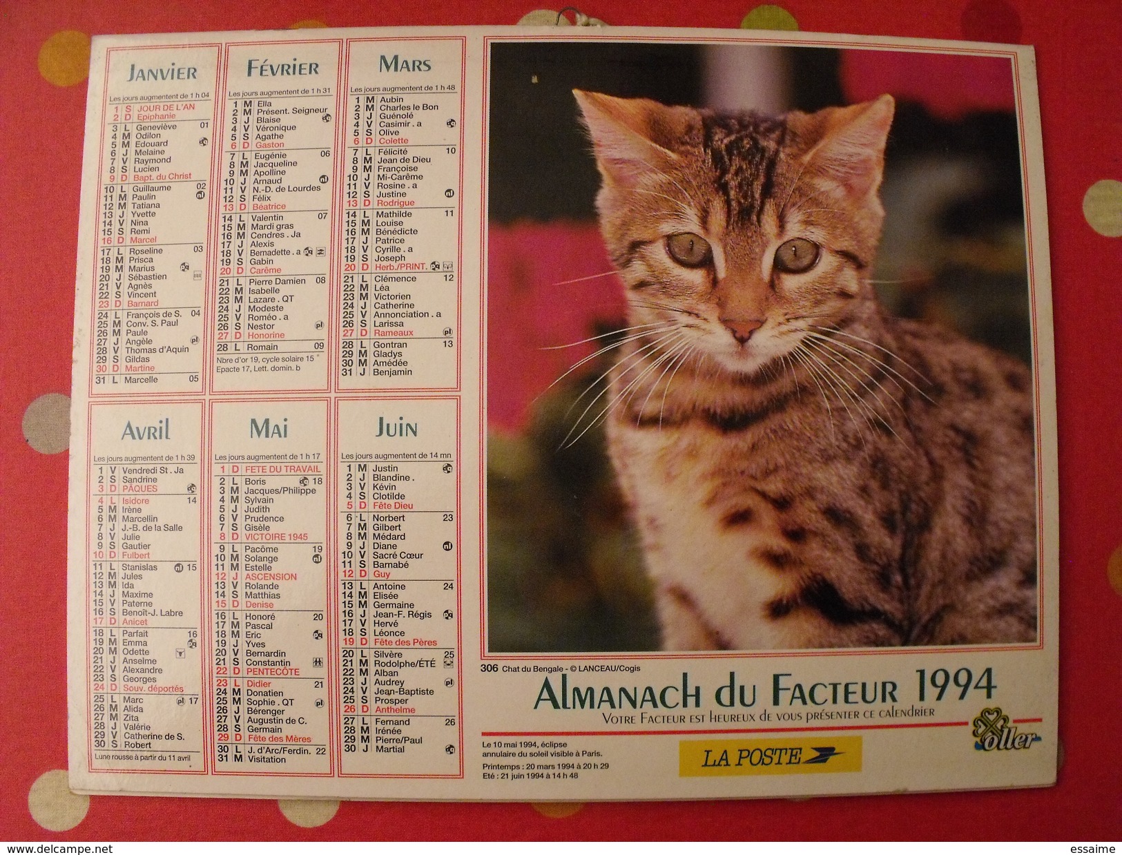 Calendrier Illustré En Carton De 1994. Almanach Des PTT Postes Facteur. Chien Chat - Grand Format : 1991-00