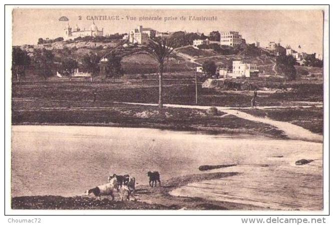 Tunisie 001, Carthage, CAP 02, Vue Générale Prise De L'Amirauté, D'un Carnet - Túnez