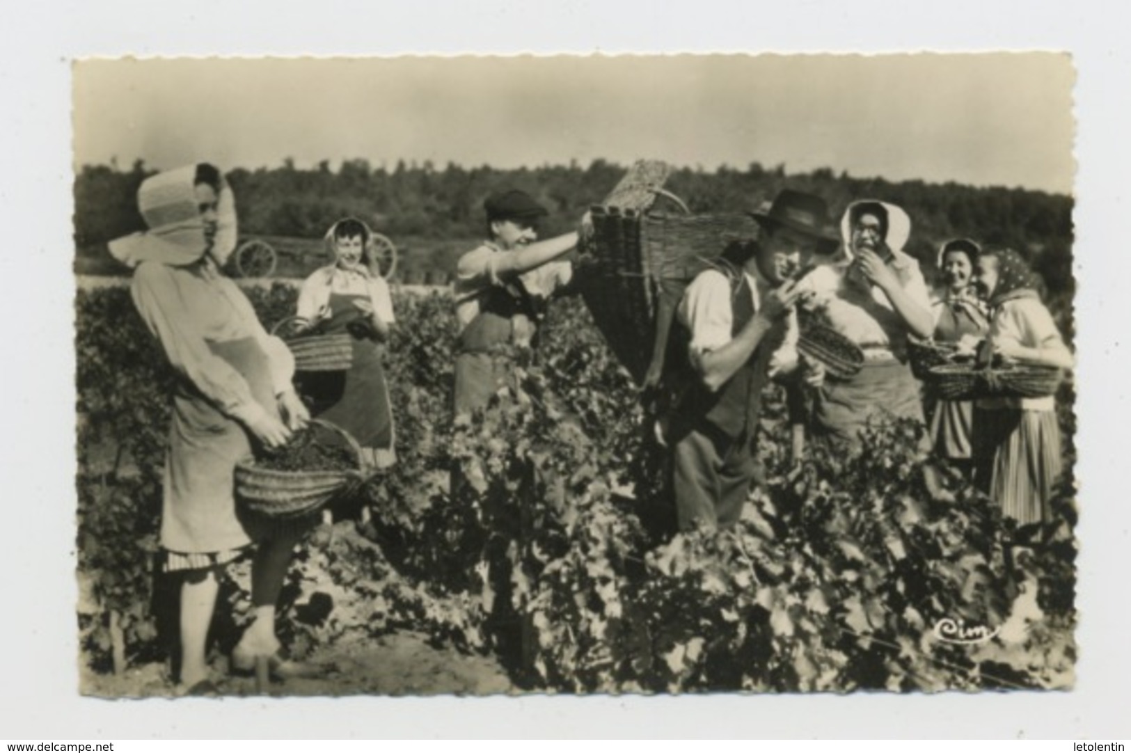 CPSM:  71 - TOURNUS - SCENE DE VENDANGES PAR LE GROUPE DU COSTUME TOUNUGEOIS - Autres & Non Classés