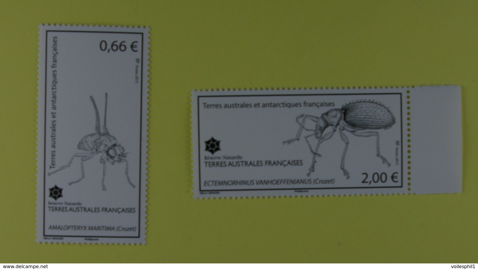 TAAF  Insectes  De La Réserve Naturelle De Crozet - Unused Stamps