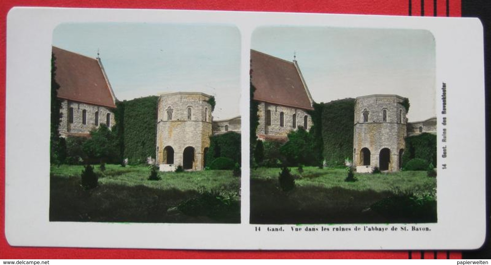 Stereofoto: Belgien Gent / Gand - Ruine Des Bavonklosters / Les Ruines De L'abbaye De St. Bavon - Photos Stéréoscopiques