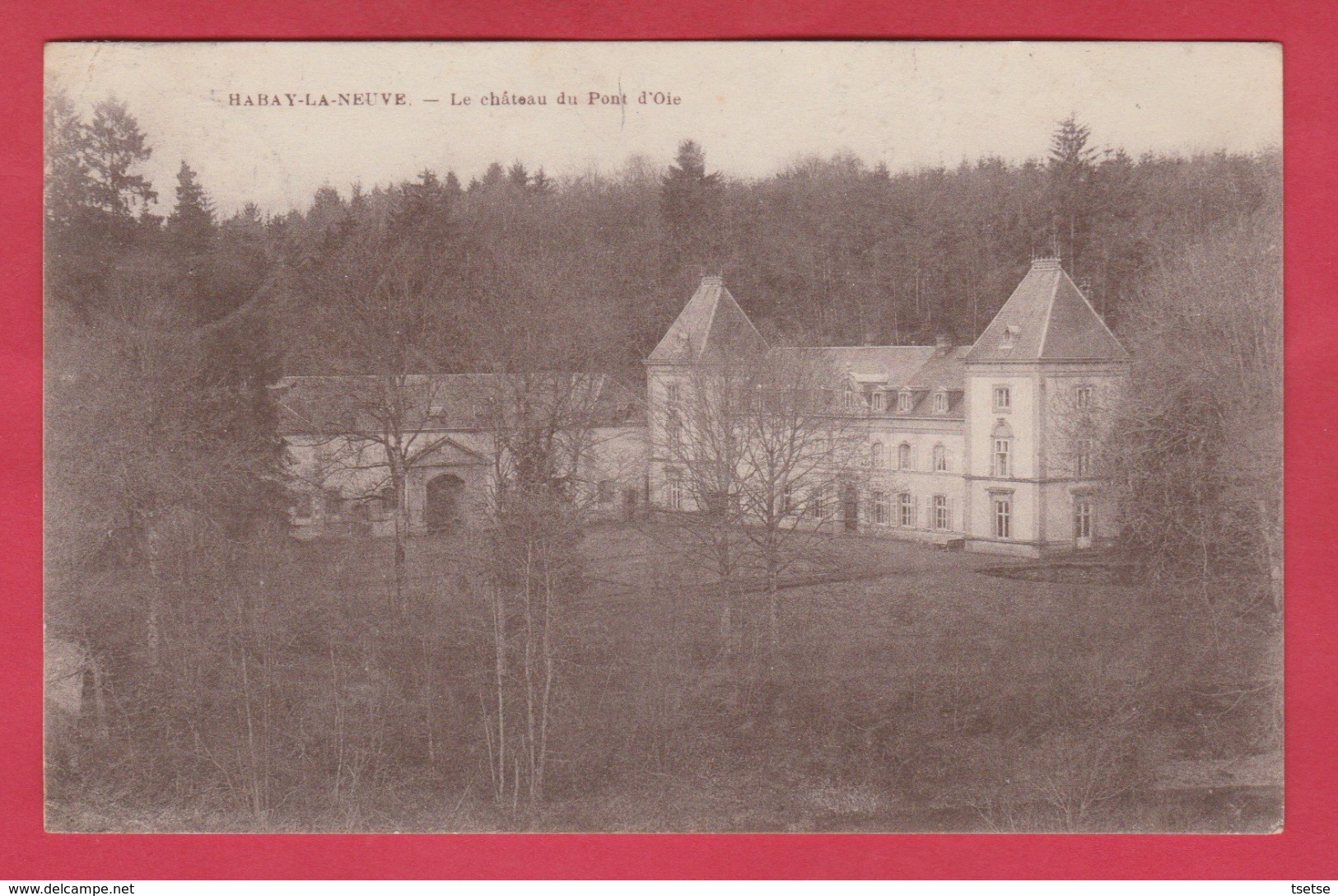 Habay-la-Neuve -  Le Château Du Pont D'Oie - 1927 ( Voir Verso ) - Habay