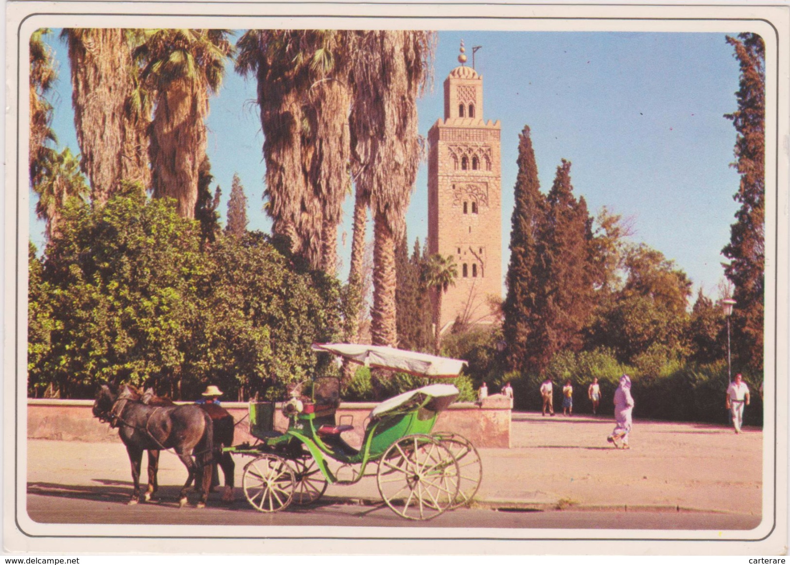 AFRIQUE,AFRICA,MAROC,MOROCCO,MARRAKECH,MURRAKUSH,ATTELAGE,PARC,KOUTOUBIA - Marrakesh