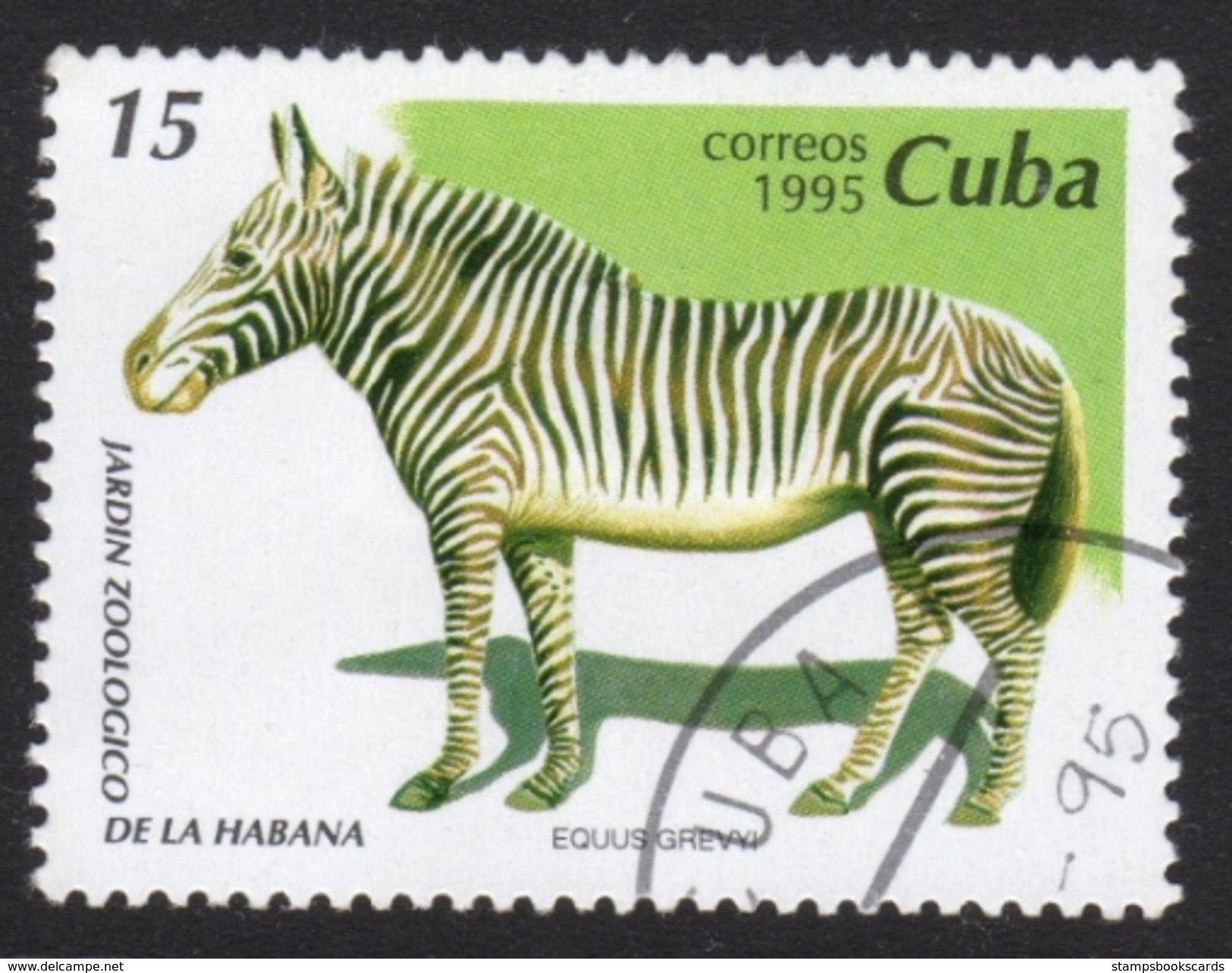 Zebra Stamp - Gibier