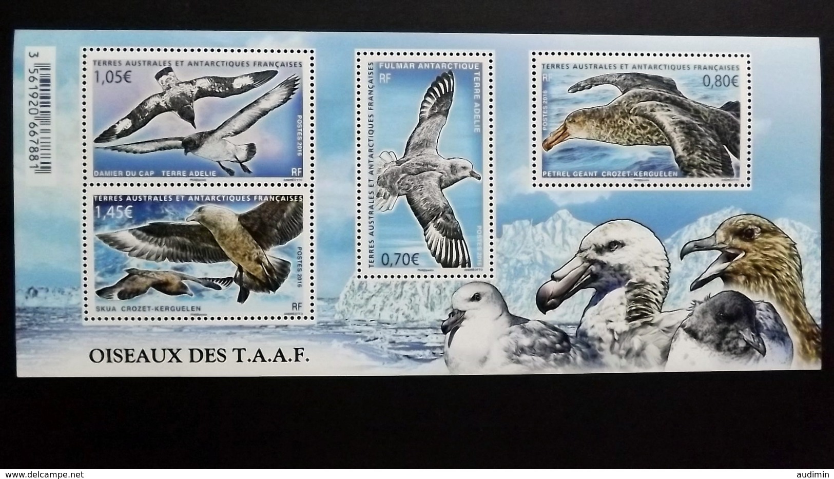 Französische Süd- Und Antarktisgebiete TAAF 910/3 Block 48 **/mnh, Seevögel - Ungebraucht