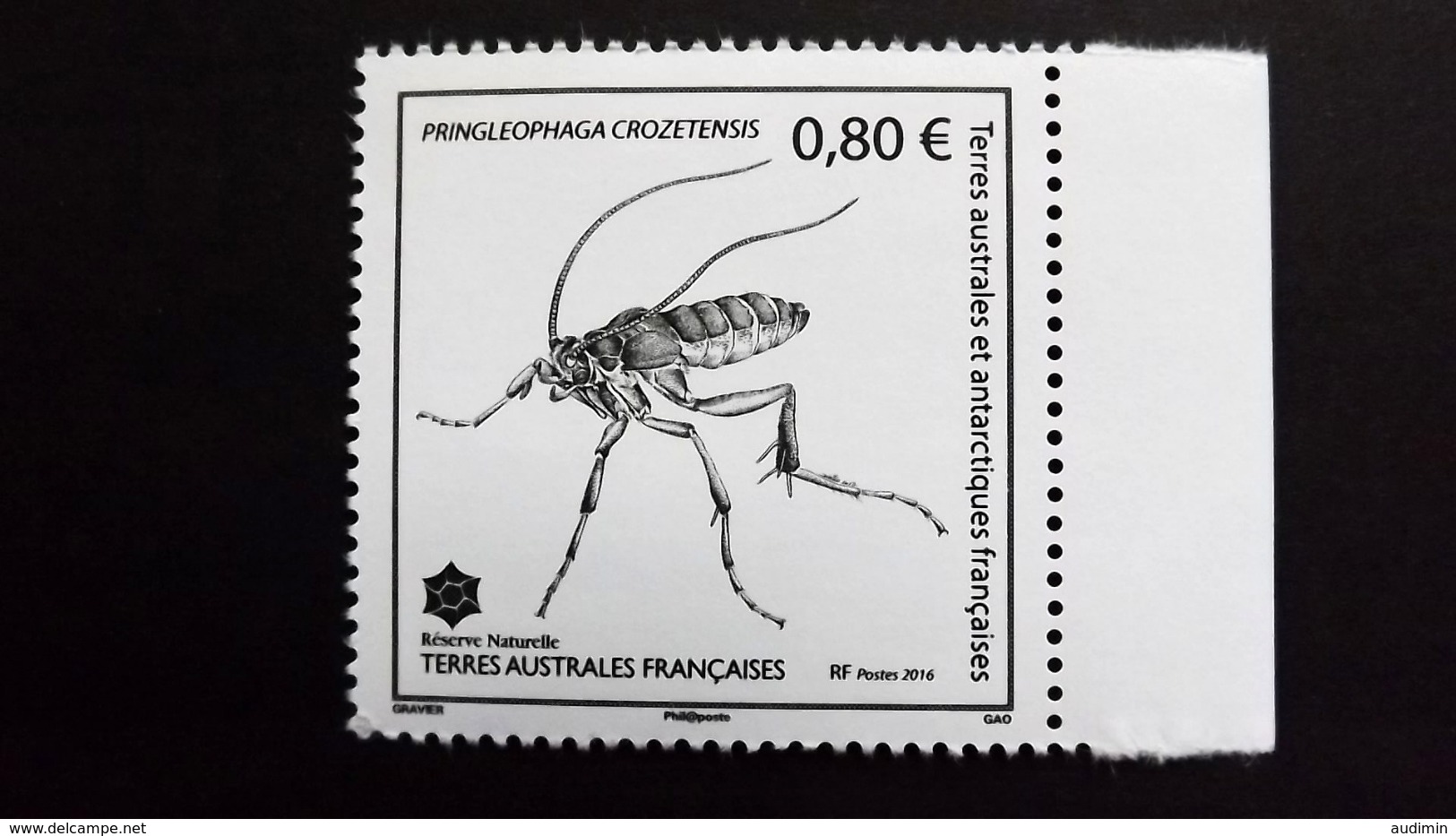 Französische Süd- Und Antarktisgebiete TAAF 914 **/mnh, Pringleophaga Crozetensis (endemische Schmetterlingsart) Crozet - Neufs