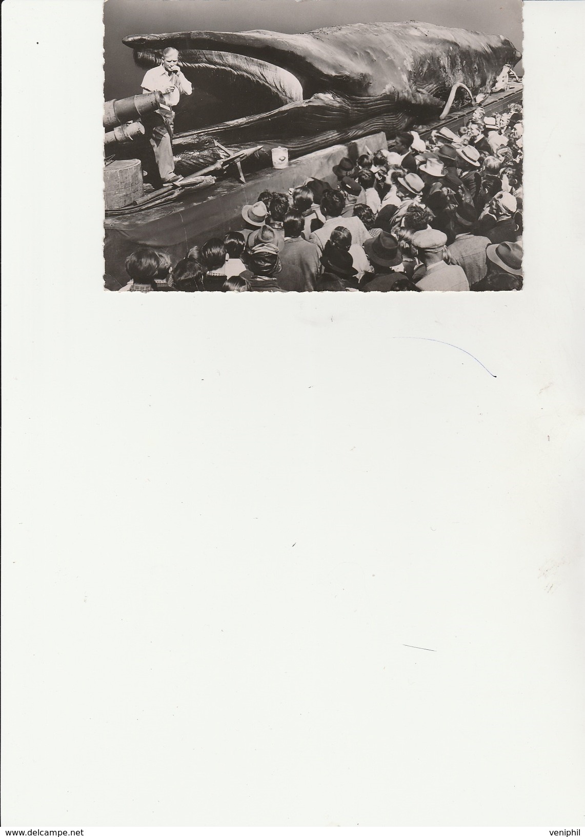 EXPOSITION DE LA BALEINE GEANTE - JONAS - 1952- + CARTE POSTALE - Expositions