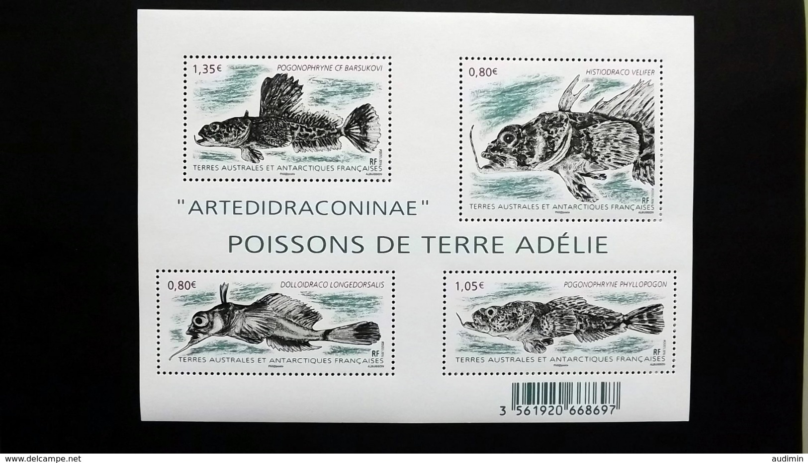 Französische Süd- Und Antarktisgebiete TAAF 916/9 Block 49 **/mnh, Raubfische Der Gruppe Der Artedidraconidae - Neufs