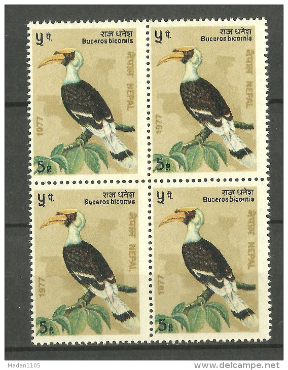 Nepal, 1977, Birds, Buceros Bicornis, 5p Block Of 4,  MNH, (**) - Népal