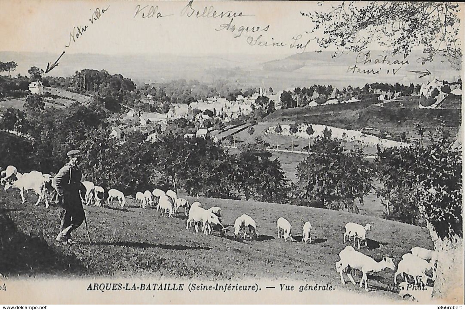 CARTE POSTALE ORIGINALE ANCIENNE : ARQUES LA BATAILLE  VUE GENERALE  ANIMEE  SEINE MARITIME (76) - Allevamenti