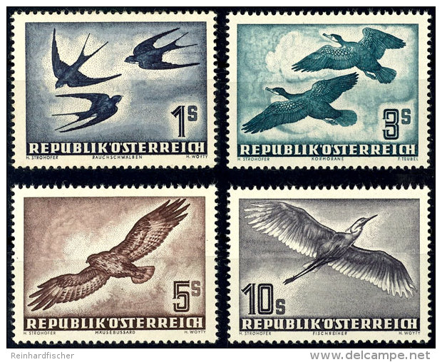 1953, "V&ouml;gel" Kpl. Tadellos Postfrisch, Mi. 350,--, Katalog: 984/87 **1953, "birds" Complete In Perfect... - Otros & Sin Clasificación