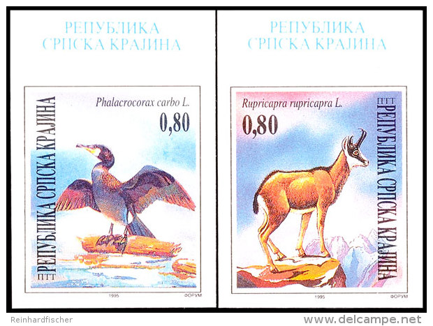 0,80 ND. Gesch&uuml;tze Tiere, Ungez&auml;hnt Vom Oberrand, Postfrisch, Katalog: 43/44U **0, 80 Reprints. Guns... - Croacia