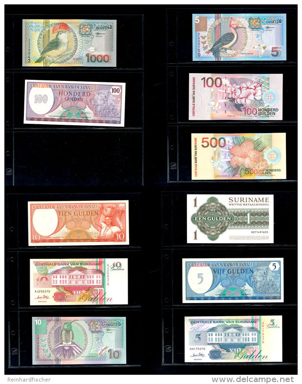 Surinam, Lot Von 11 Banknoten, Alle Kassenfrisch.  Surinam, Lot From 11 Banknotes, All Mint Never Used. - Otros & Sin Clasificación