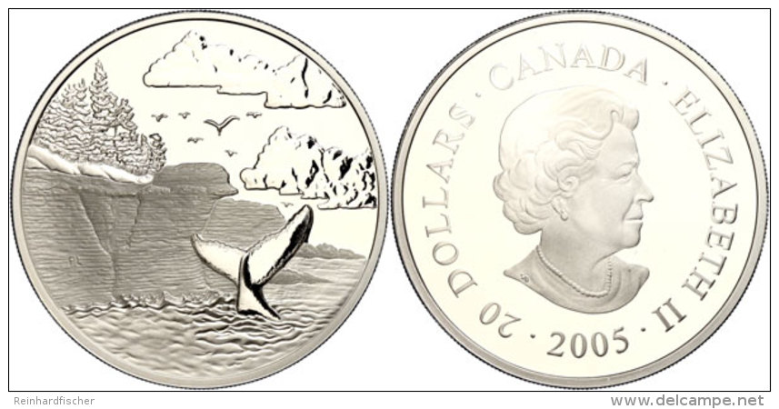 20 Dollars, 2005, Kanadische Nationalparke - Wal In Natur, KM 563, Sch&ouml;n 629, Im Etui Mit OVP Und Zertifikat,... - Otros & Sin Clasificación