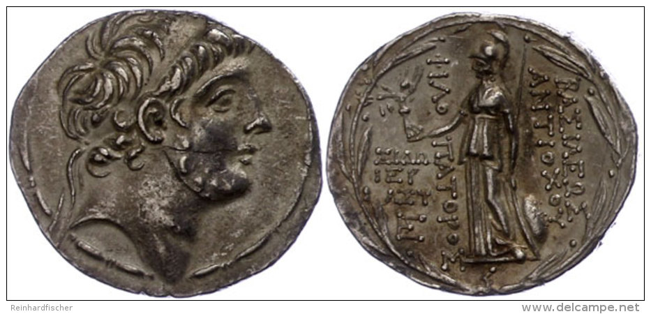 Sidon, Tetradrachme (16,53g), Antiochos IX., 113/112-111/110 V. Chr. Av: Kopf Nach Rechts. Rev: Stehende Athena... - Zonder Classificatie