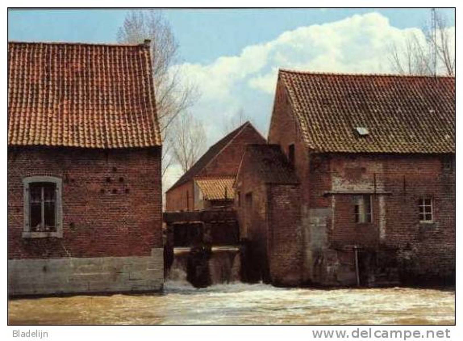 TOLLEMBEEK Bij Galmaarden (Vlaams-Brabant) - Watermolen/moulin à Eau - De Wielant Molen In 1978. Prachtige Opname! - Galmaarden