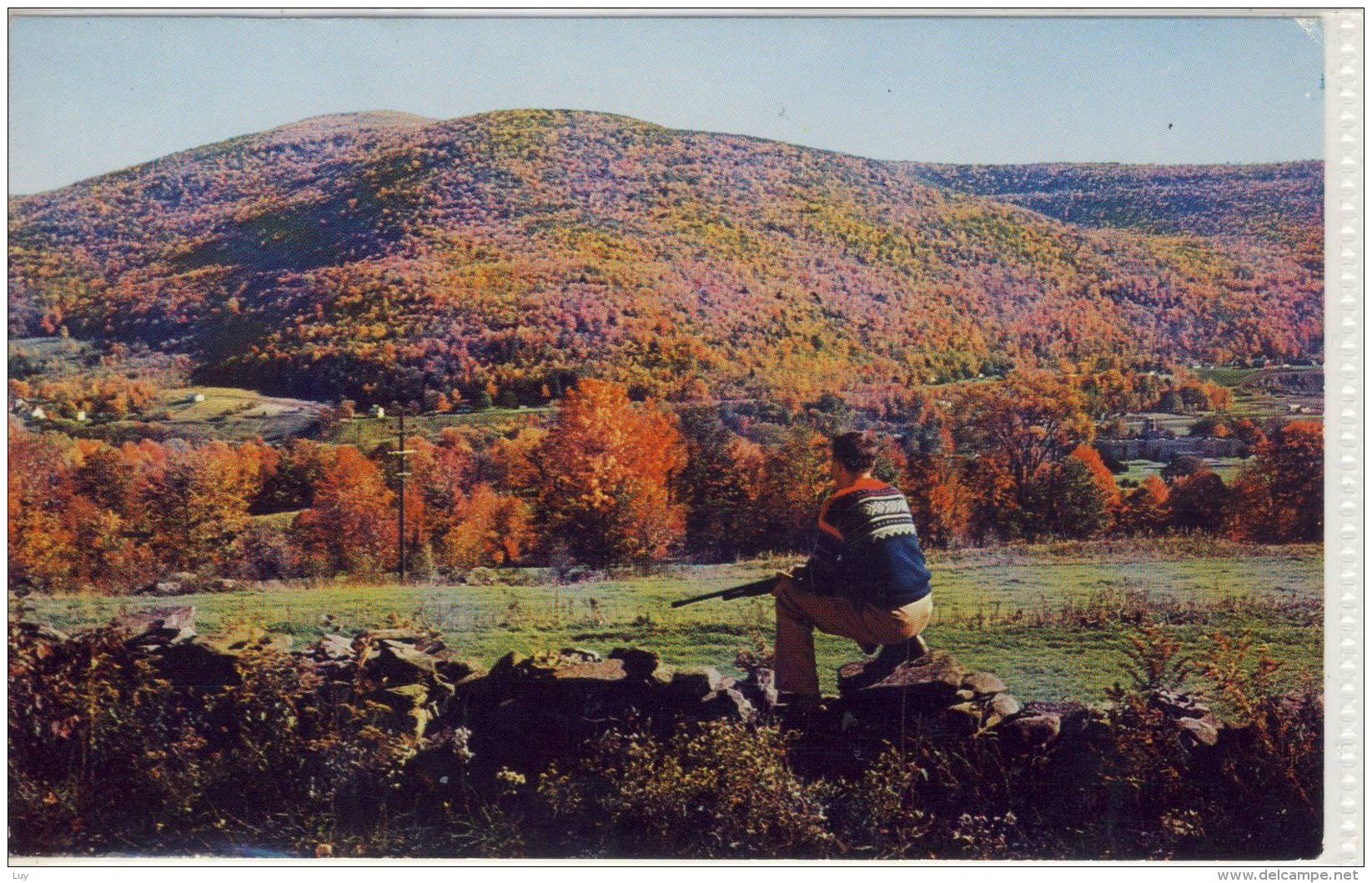 N.Y. - PAKATAKAN MOUNTAIN - View From New Kingston Mountain, Fishing And Hunting - Other & Unclassified