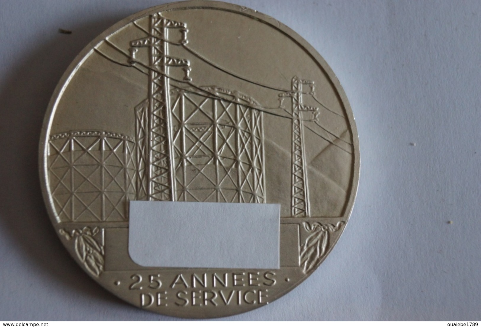 Médaille 25 Ans De Service, Electrcité De France, Gaz De France - Profesionales / De Sociedad
