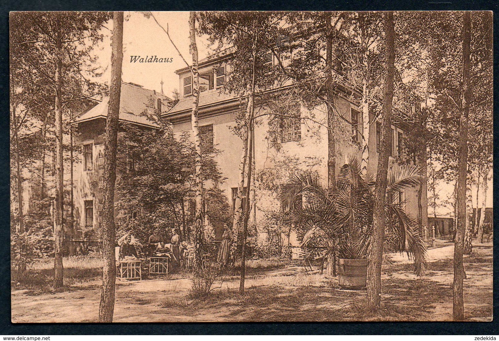 8927 - Alte Ansichtskarte - Coswig - Lindenhof Waldhaus - N. Gel - Brück & Sohn - Coswig