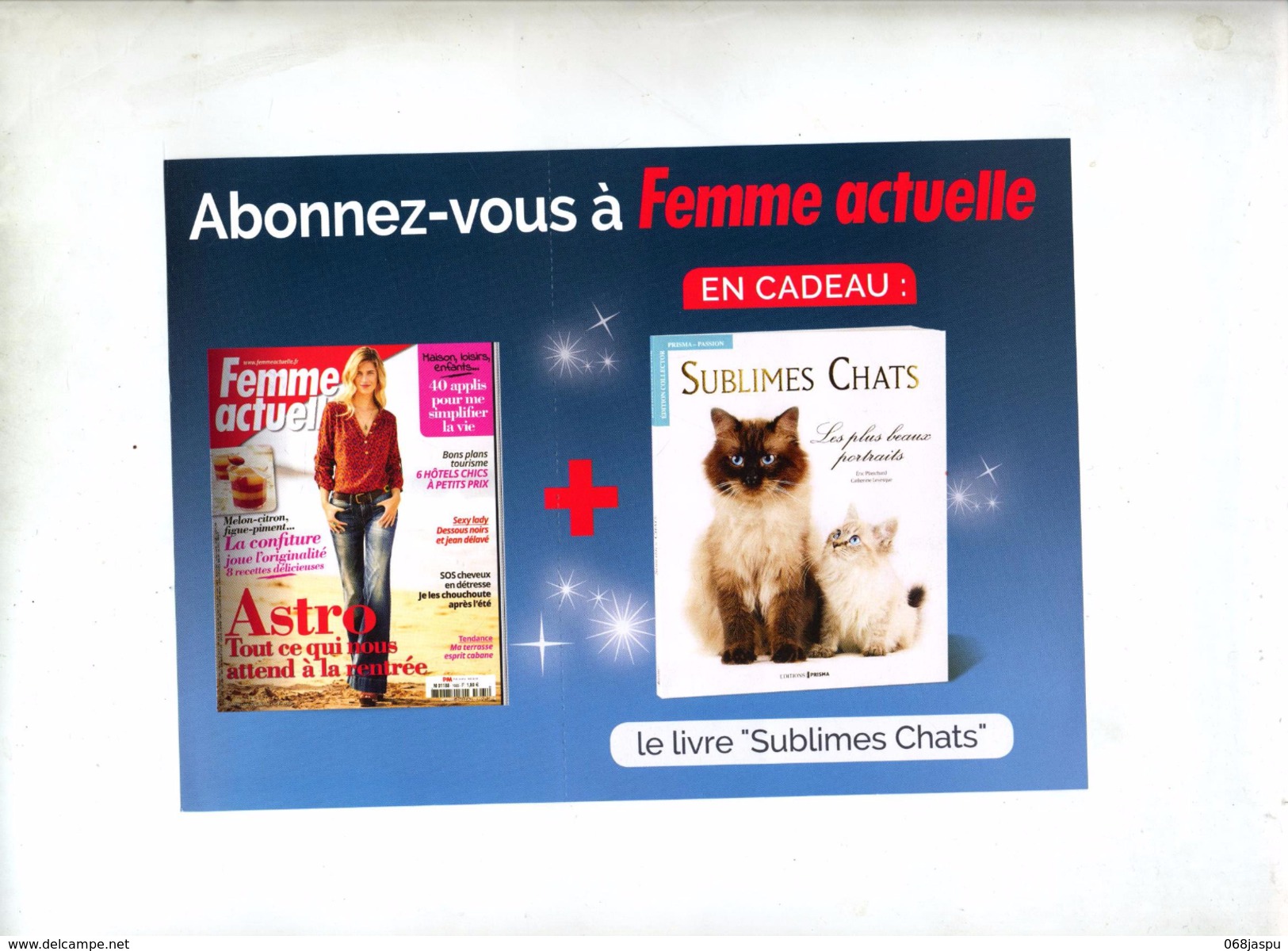 Carte Reponse T Femme Actuelle Theme Chat - Buste Risposta T