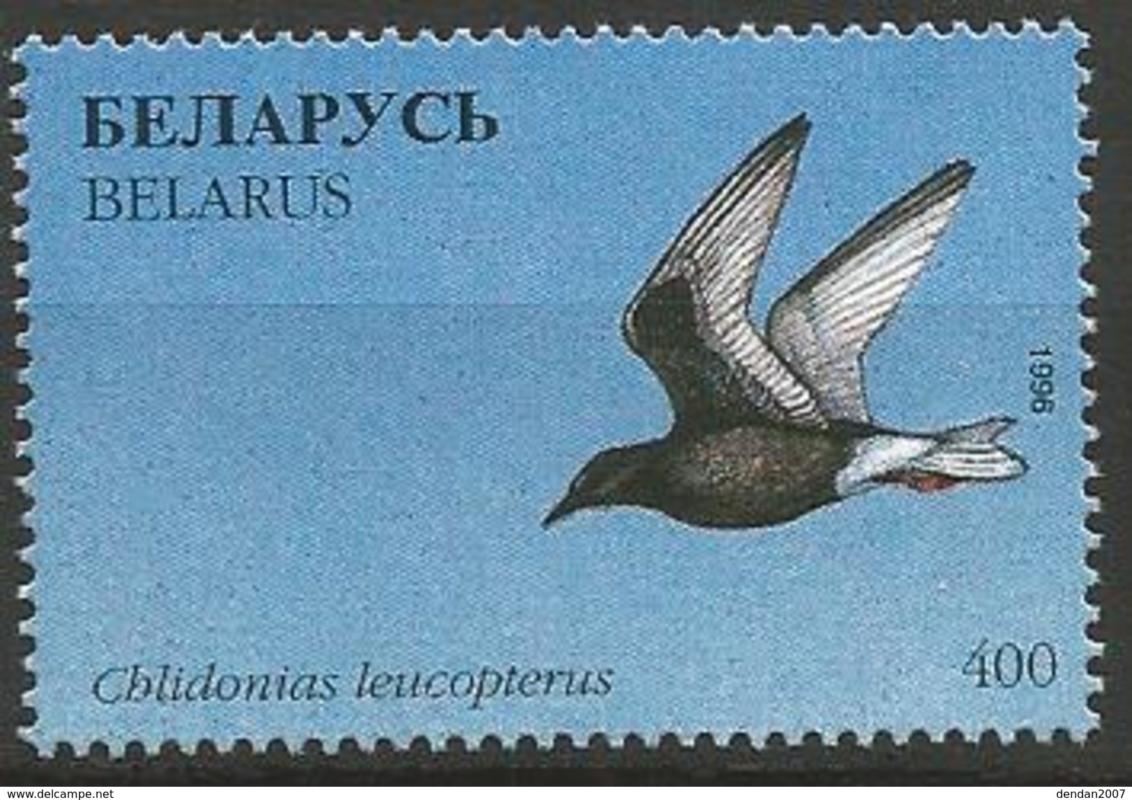 Belarus - MNH - Family GULLS, TERNS And SKIMMERS - White-winged Tern ( Chlidonias Leucopterus ) - Seagulls