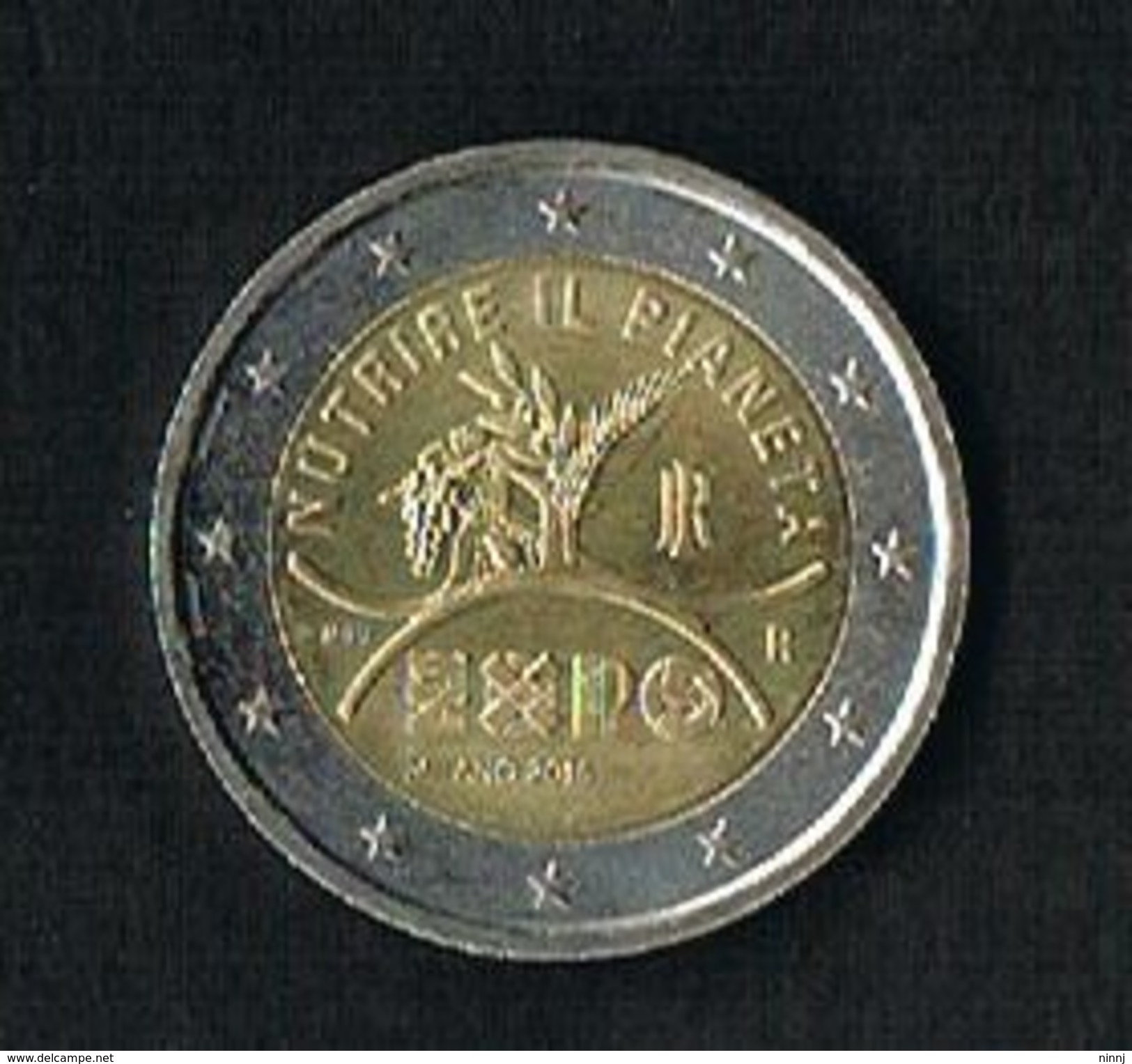 34 - Italia Moneta 2 Euro Commemorativa EXPO Milano 2015 Circolata - Commemorative