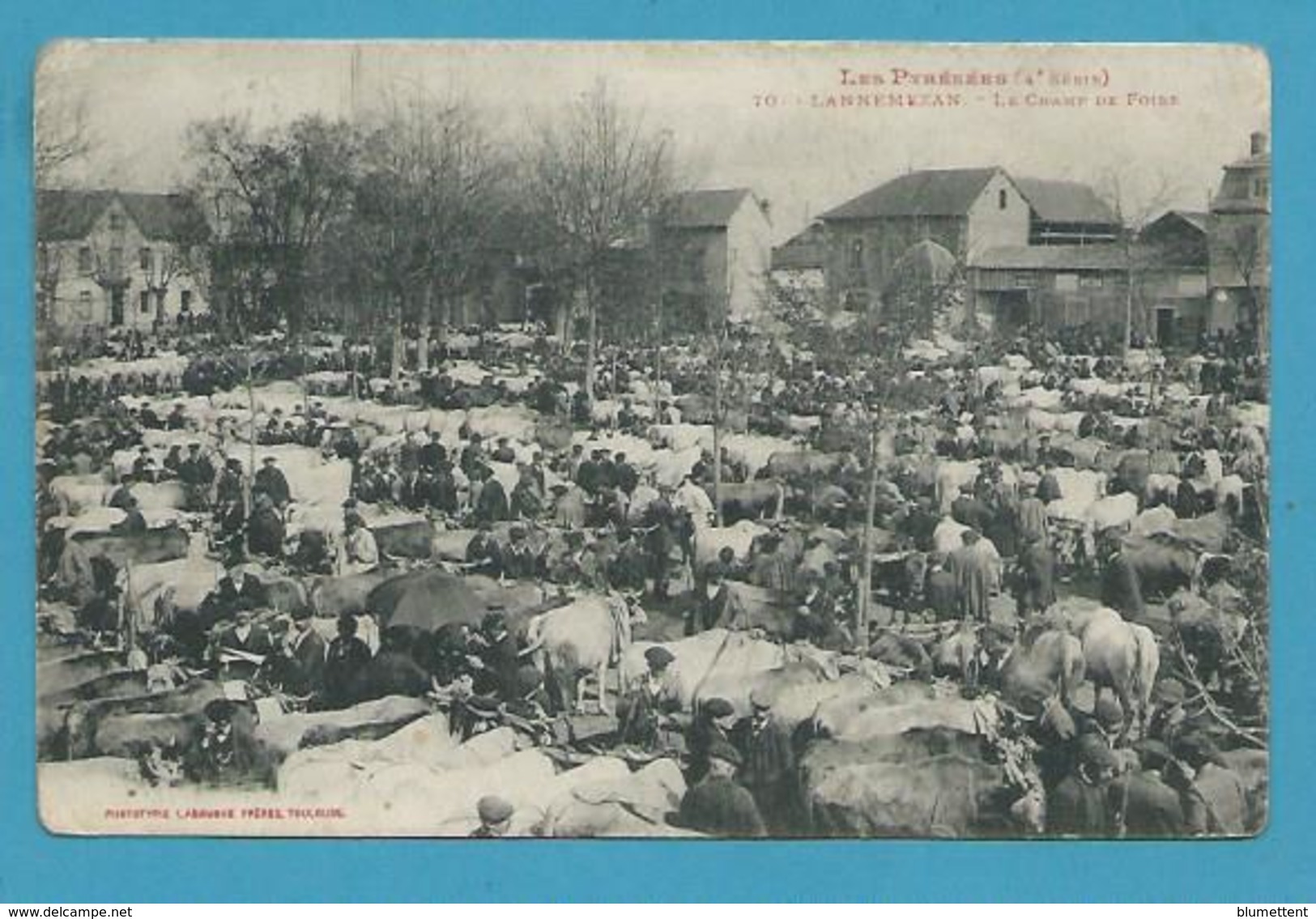 CPA LABOUCHE 65 - Marché Aux Bestiaux Le Champ De Foire LANNEMEZAN 65 - Lannemezan