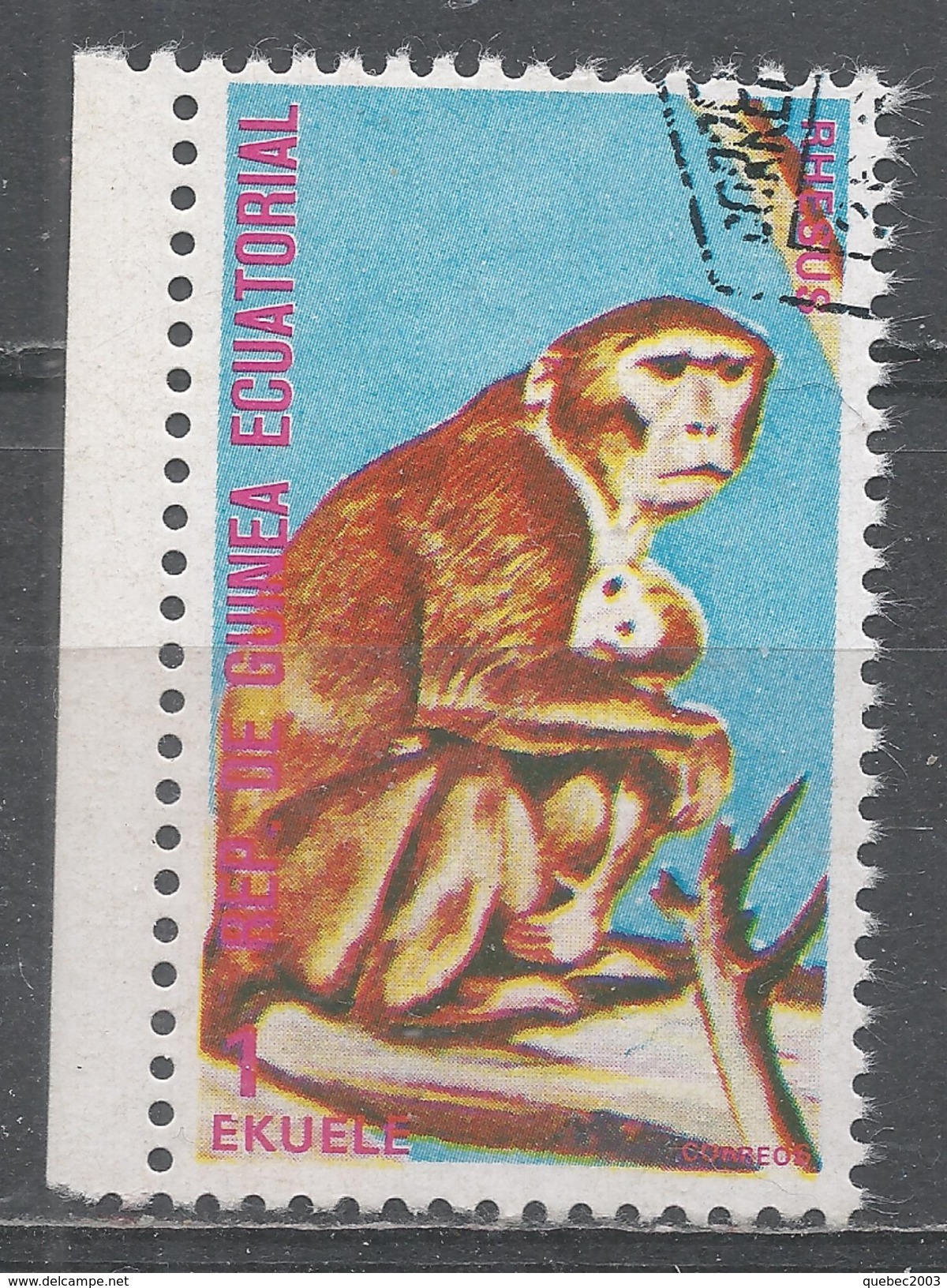 Equatorial Guinea 1974. Scott #74216 (U) Monkey - Guinée Equatoriale