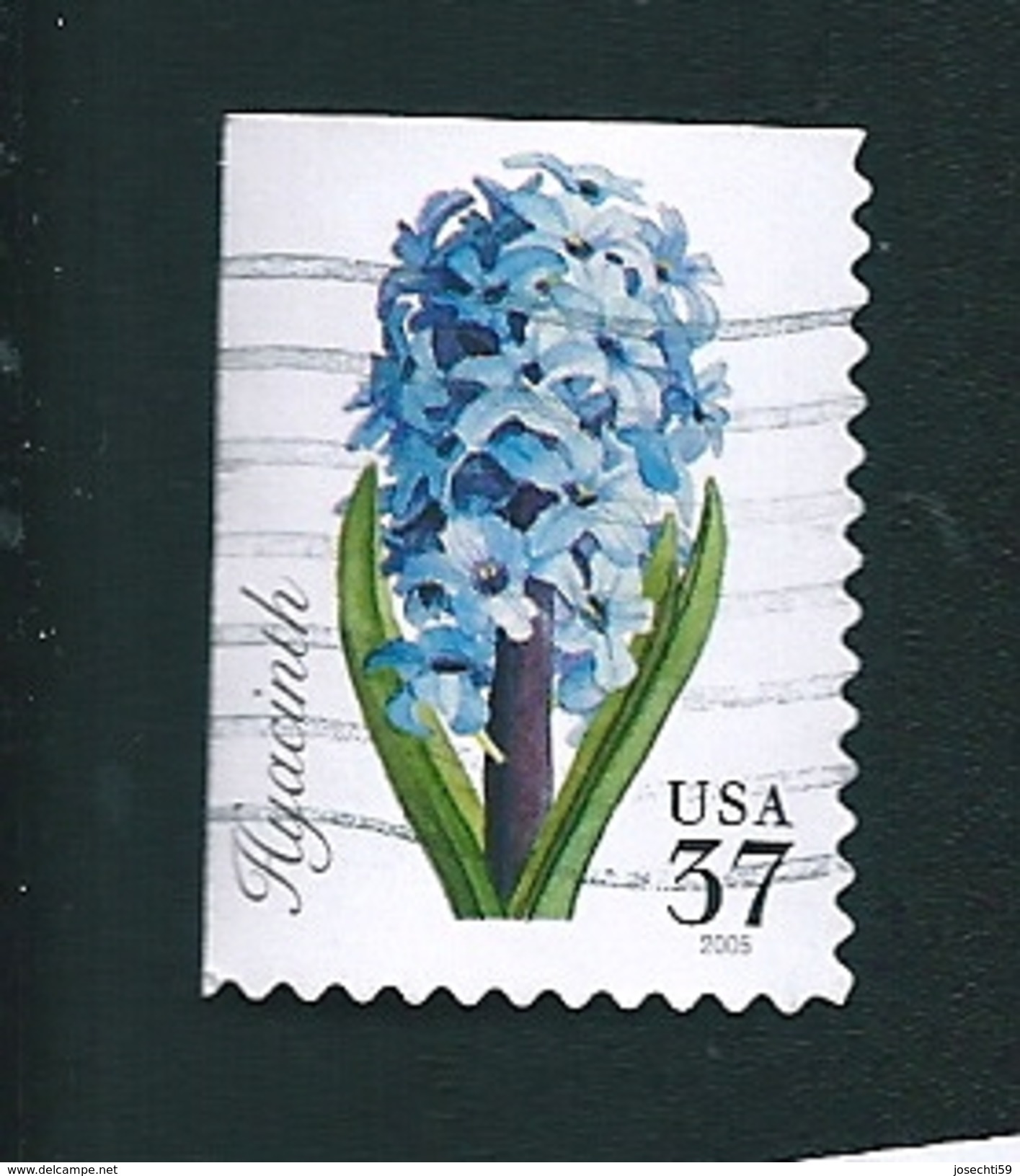 N° 3639 Jacinthe  USA Oblitéré  Etats-Unis (2005) - Used Stamps