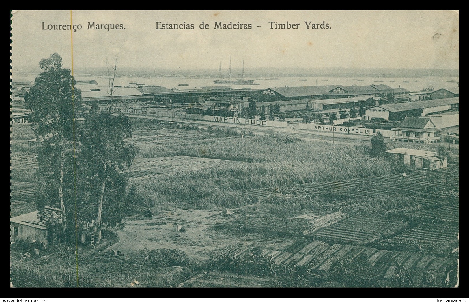 LOURENÇO MARQUES - Estancia De Madeiras ( Ed. J. Fernandes Moinhos) Carte Postale - Mozambico