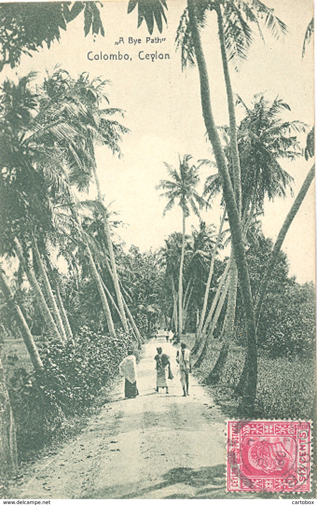 Ceylon, Colombo, A Bye Path (Sri Lanka)  (Ceylan) - Sri Lanka (Ceylon)