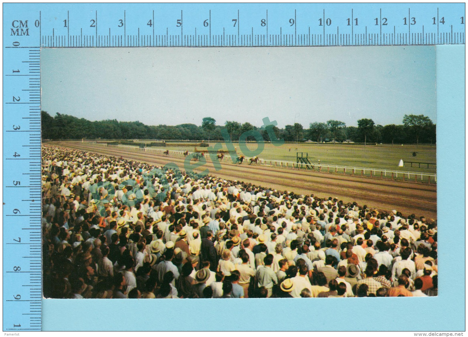 Saratoga NY.- Horse Race Track With Full Peoples  -  Animated Postcard Post Card 2 Scans - Saratoga Springs