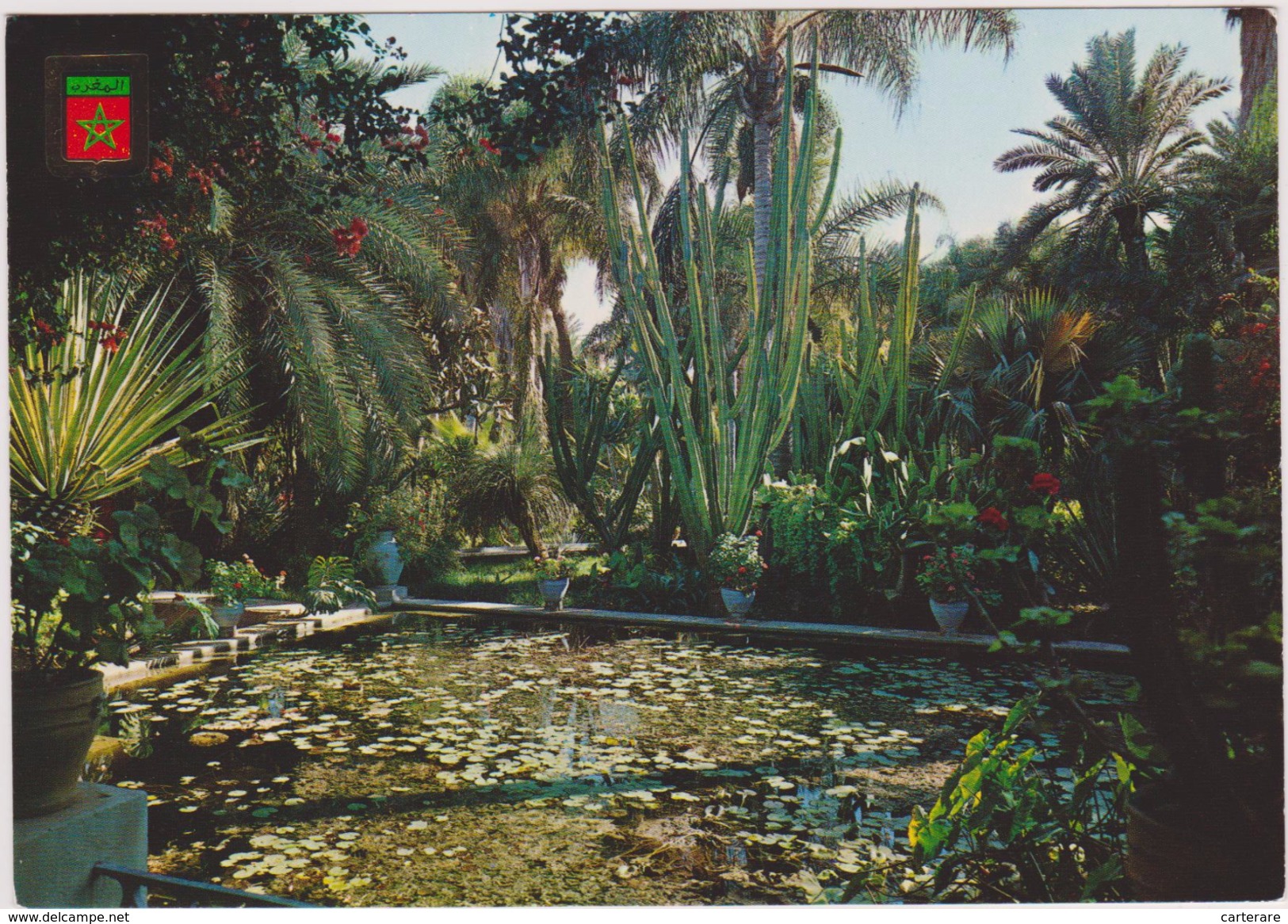 AFRIQUE,AFRICA,MAROC,MAROCCO,MARRUECOS,MARRAKECH ,JARDIN,MAJORELLE - Marrakech