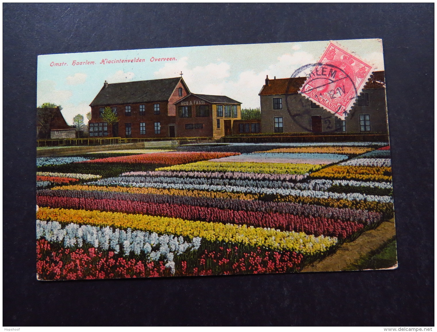 Postcard Netherlands Holland Omstreken Haarlem Hiacintenvelden Overveen 1912 - Zonder Classificatie