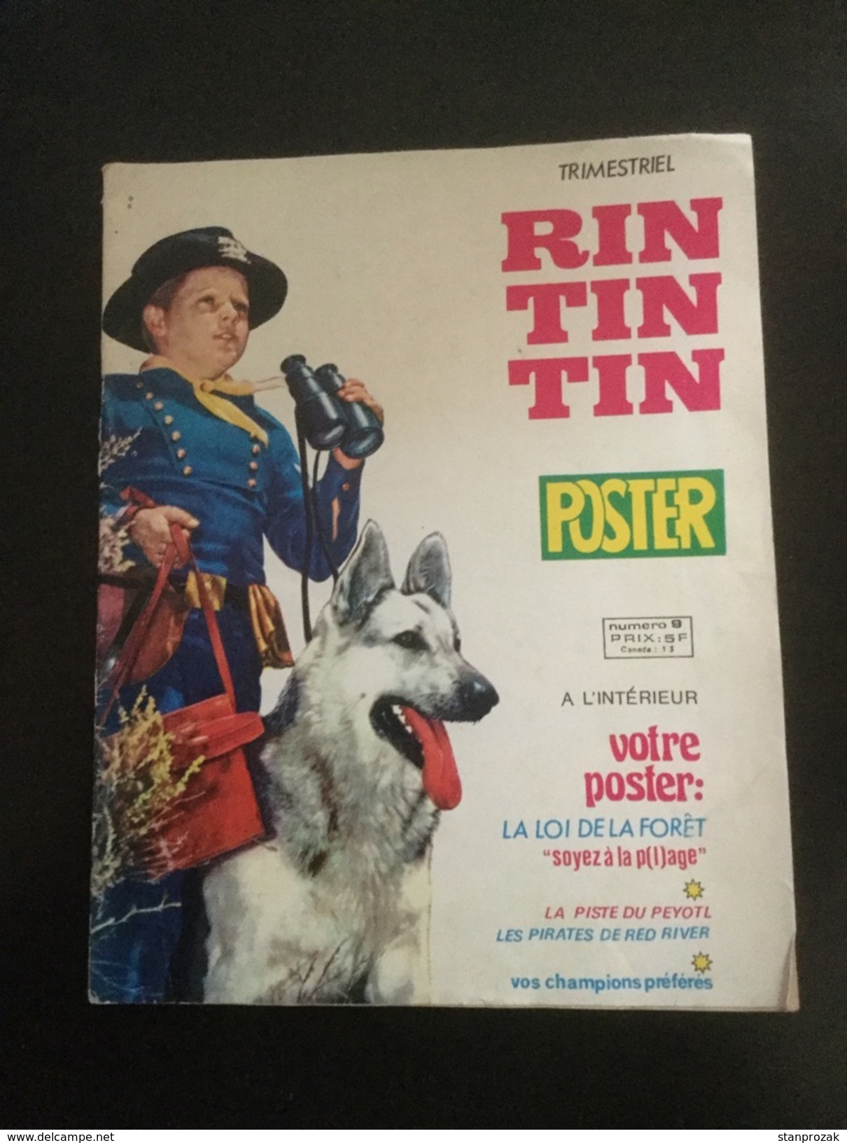 Rintintin Poster 9 - Rintintin